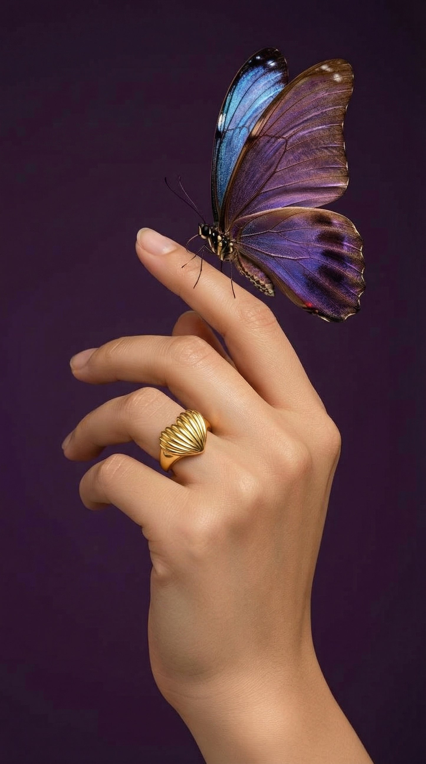 Bella Gold Shell Ring